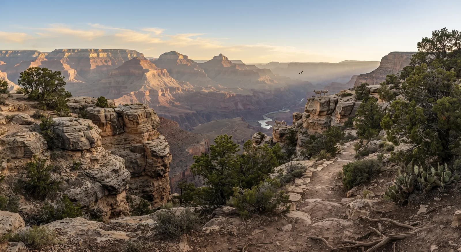 Grand Canyon