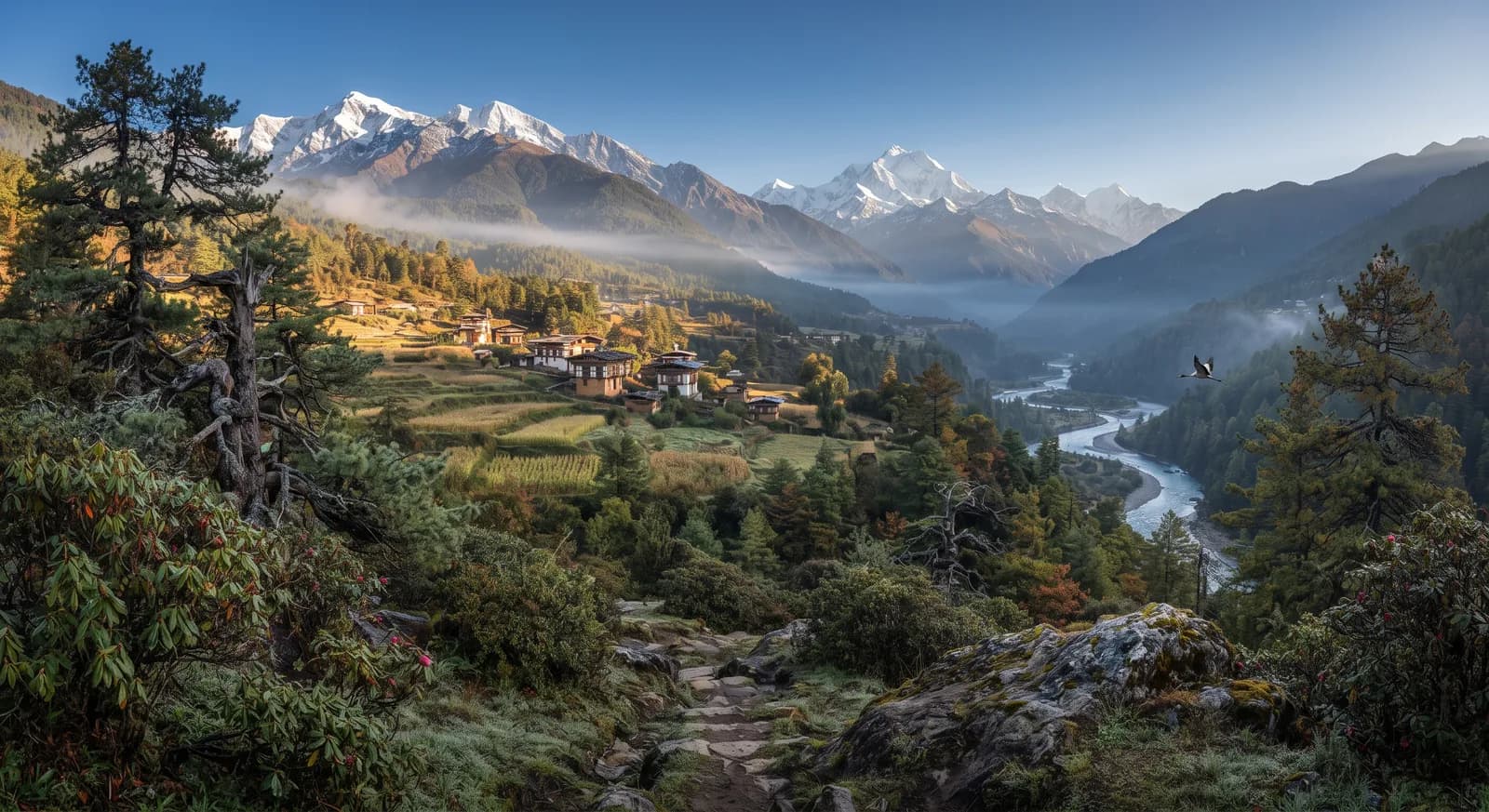 Jigme Dorji, Bhutan